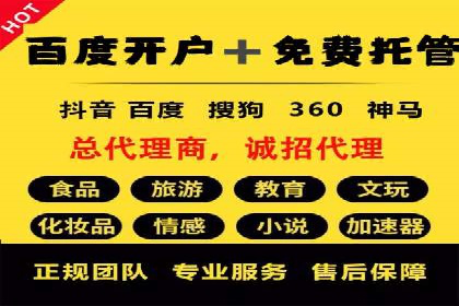 某企业通过SEM实现品牌与销售双增长的案例